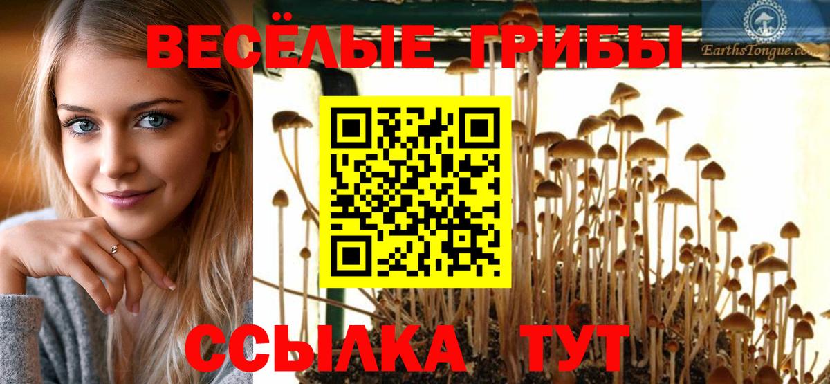 Псилоцибиновые грибы Psilocybine cubensis Рассказово