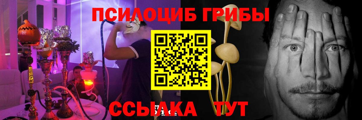 хочу наркоту  Вход с VPN  Рассказово  Псилоцибиновые грибы мухоморы 